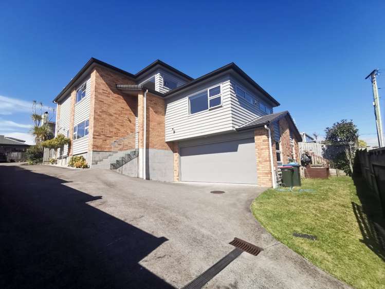 45 Ellis Avenue Mount Roskill_12
