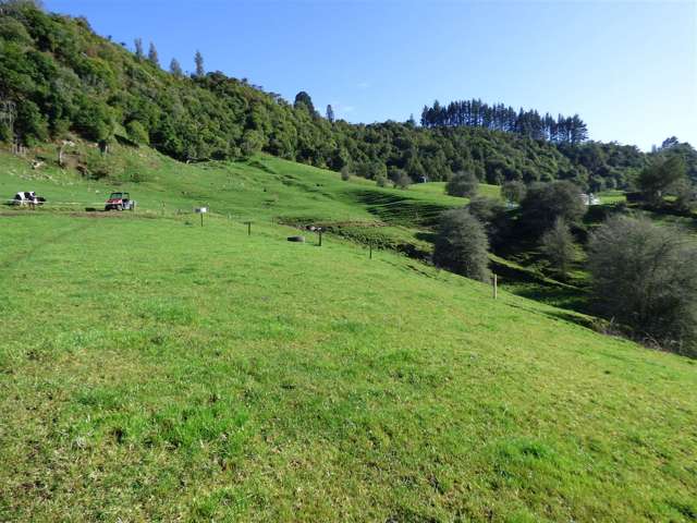 523 Honikiwi Road Otorohanga_4