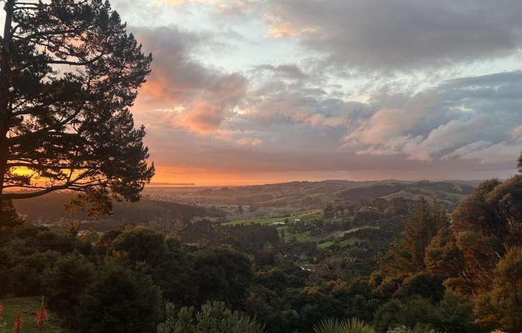 397 Wishart Road Helensville_32