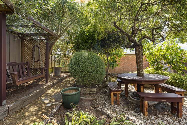 27 Moira Street Ponsonby_14