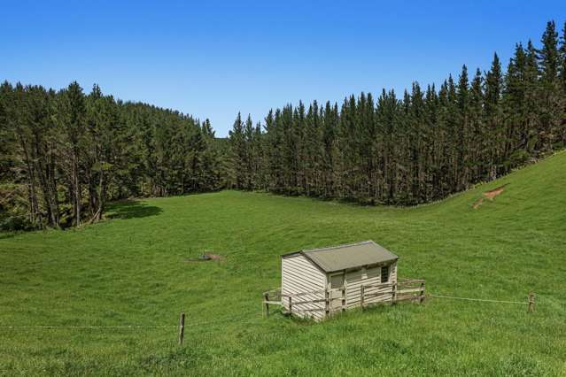 26 Settlement Road Pikowai_2