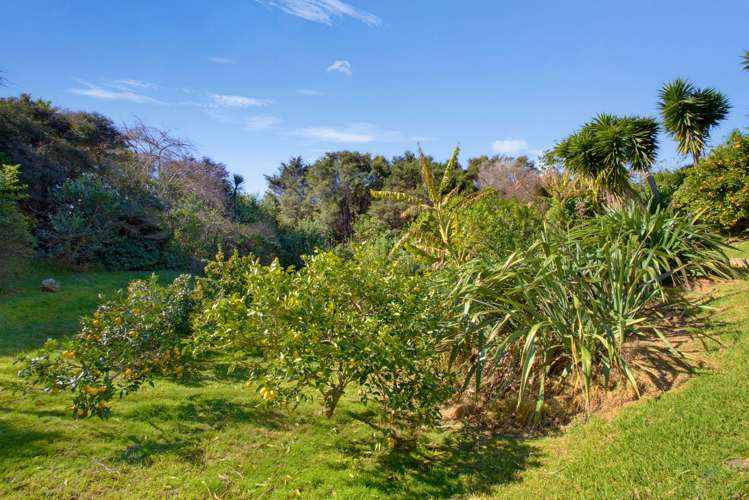 9 Ohuka Place Whitianga_34