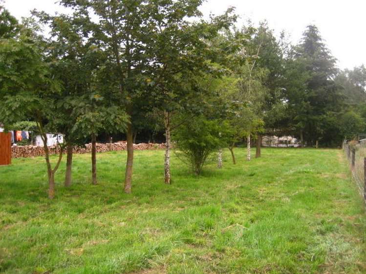 8 Anne Street Tinwald_0