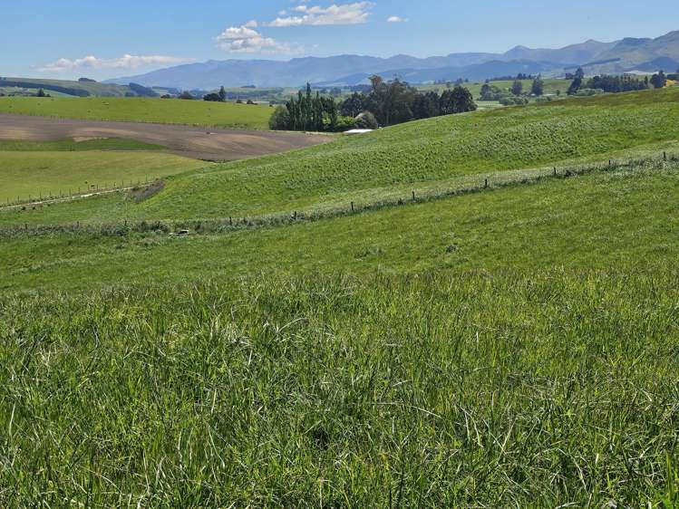 116 Burraness Street_1