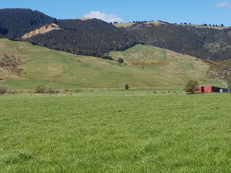 213 Toko Mouth Road Milton_12