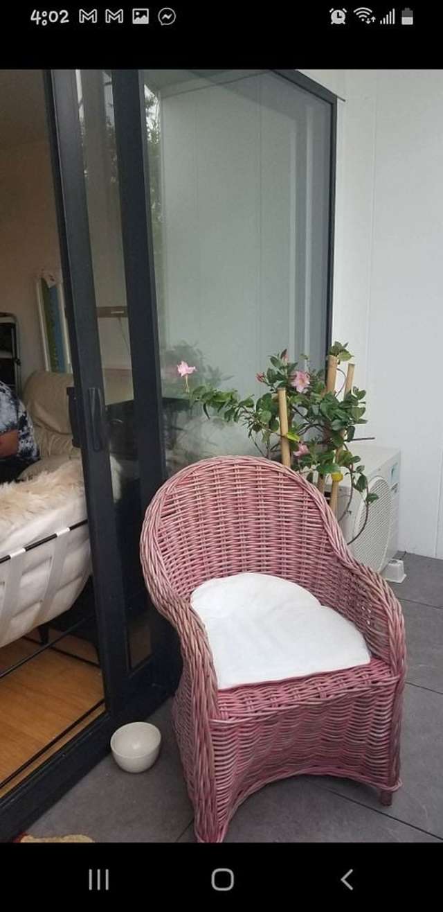 238 Princes Street East Otahuhu_3