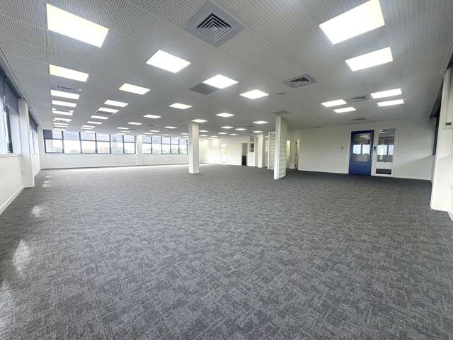 2A/268 Manukau Road Epsom_2