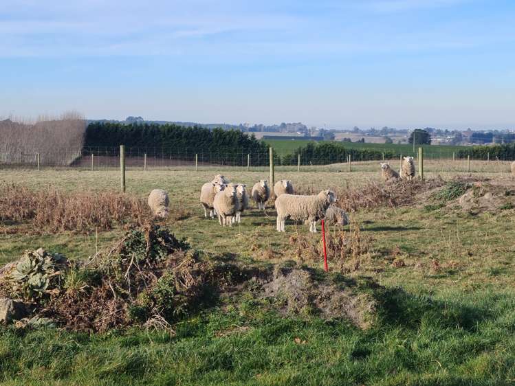 156 Airedale Road Weston_15