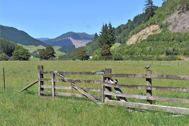 253 Wairoa Gorge Road Brightwater_16