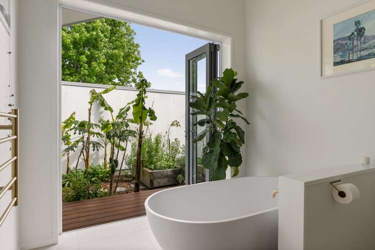 157 Harris Street Inner Kaiti_17