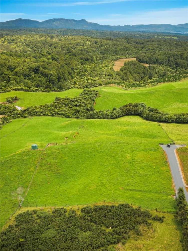 938c Whakamarama Road Whakamarama_11
