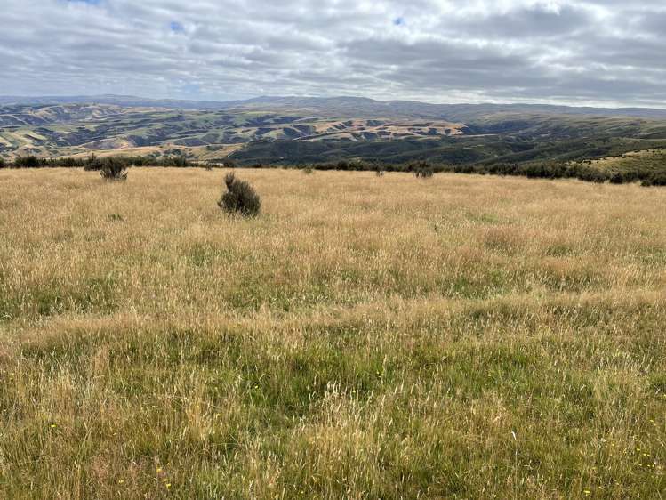 732 Beaumont Highway Clutha_9