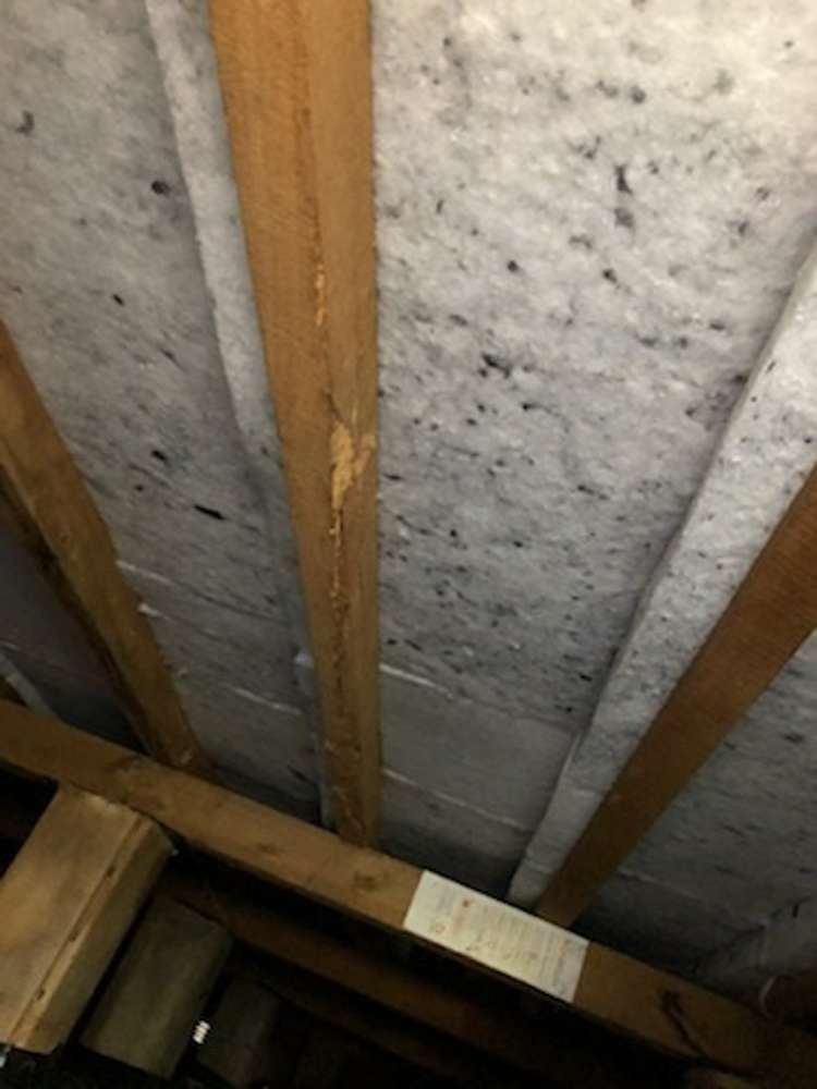 27 Oban Street Mosgiel_11