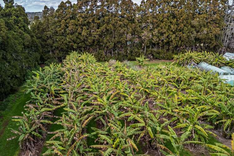 1244A State Highway 10 Kerikeri_15