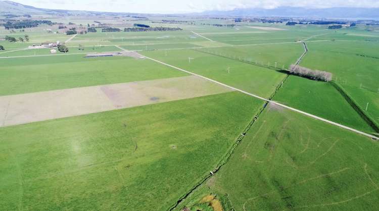 Kahutara Road Pirinoa_12