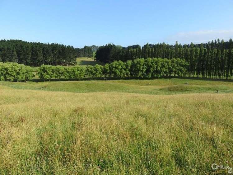 212 Wayside Road Te Kauwhata_19