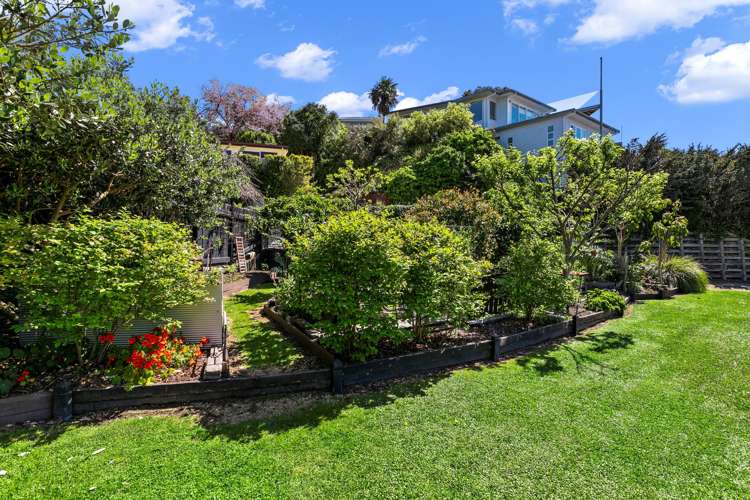 7 Omokoroa Road Omokoroa_19