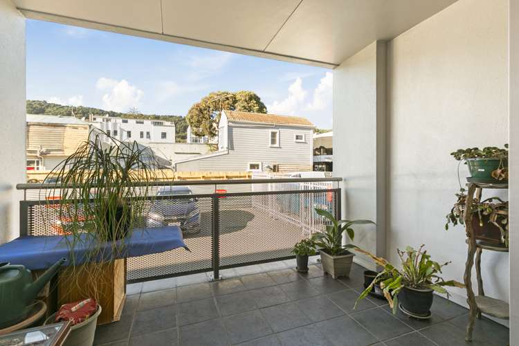 3/6 Elizabeth Street Mount Victoria_5