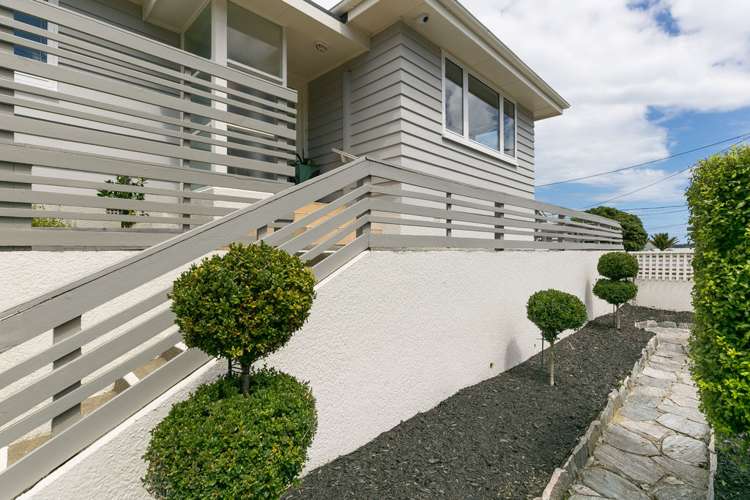 29a Waipapa Road Hataitai_1