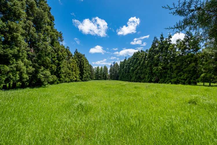 605 Takahue Road Takahue_31