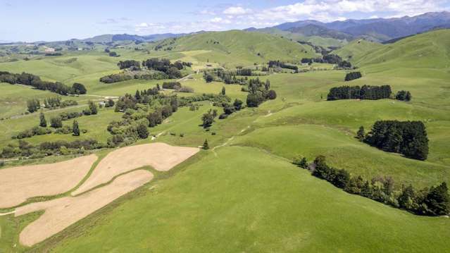 268 Mikimiki Road Masterton_1
