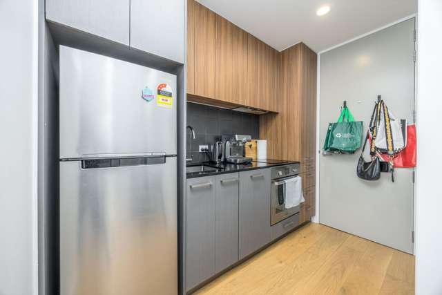 03/1g Cobden Street Auckland Central_4