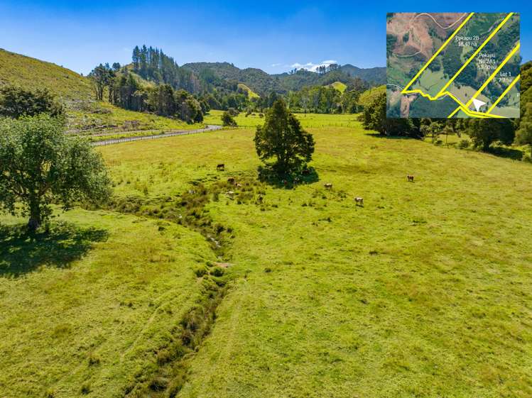 Telfer Road Parua Bay_16