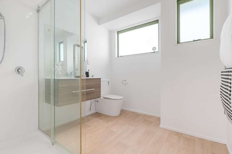 19 Metro Avenue Nawton_15