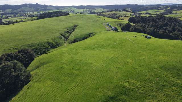 48.70ha Oromahoe Support Block