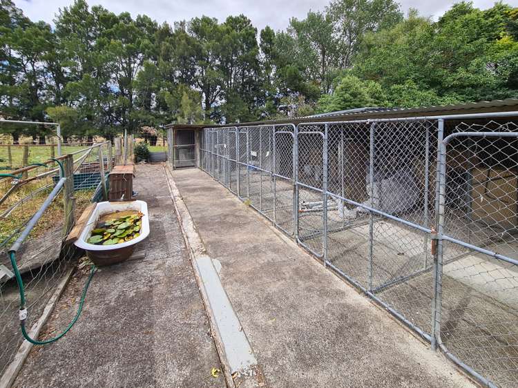 374 Rawhiti Road Te Aroha_15