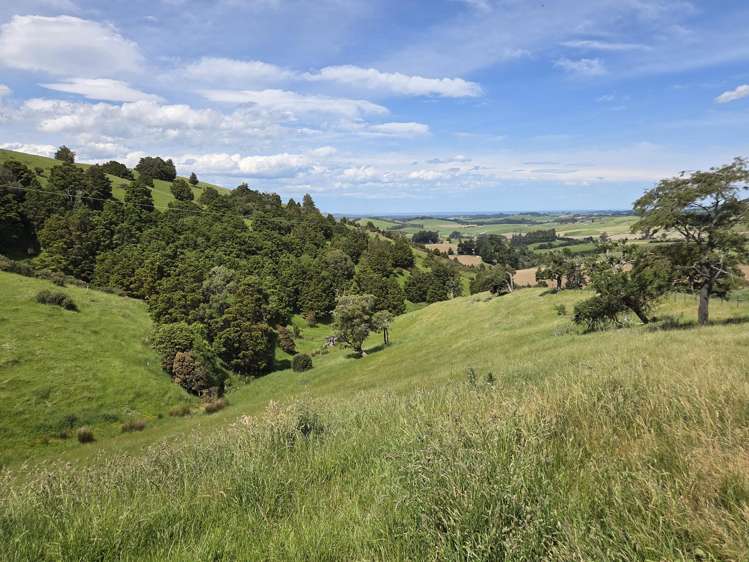 183 Gunn Road Waitepeka_14