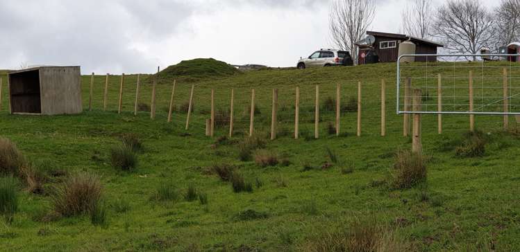 105 Jumna Road Maungaturoto_13