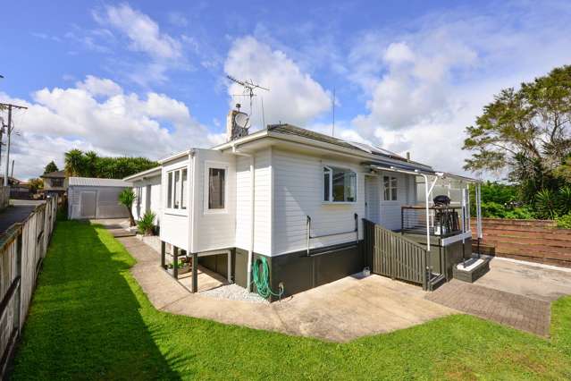 84 Ellicott Road Nawton_3