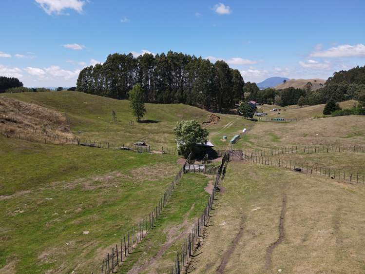 897 State Highway 1 Oruanui_14