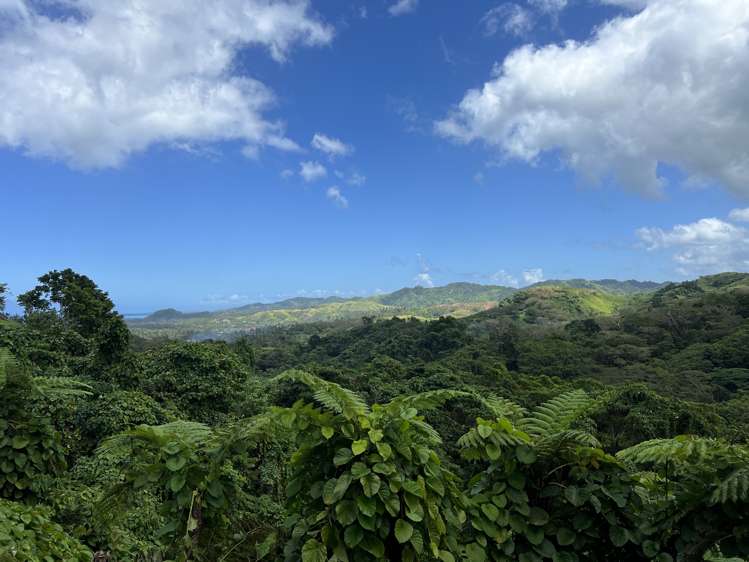 Lot 8 Raintree, Oneva Savusavu_9