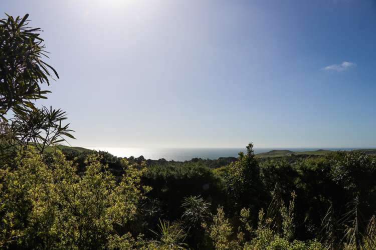 Whaanga Road Raglan_26