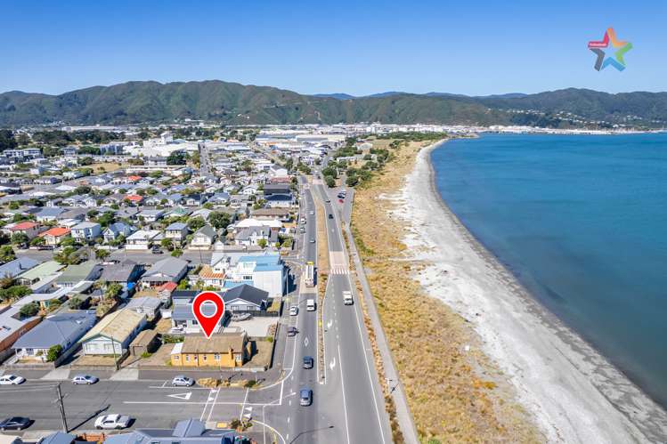 217 The Esplanade Petone_13