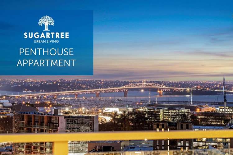 1009/27 Union Street Auckland Central_0