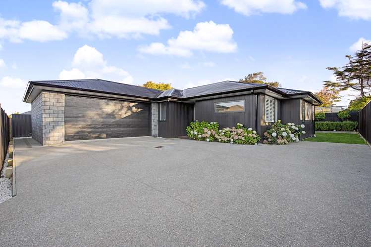 B/20 Holloway Waikiwi_18