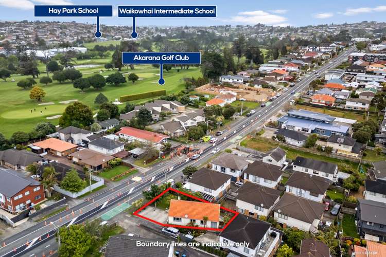 1157 Dominion Road Mt Roskill_12