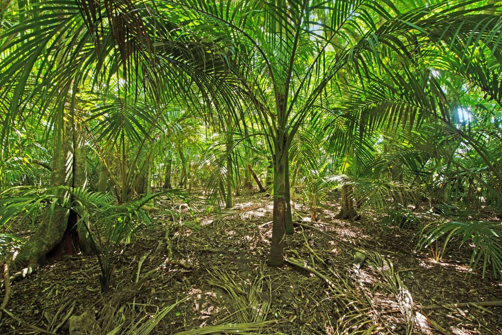 15 Catley Road Te Horo_0