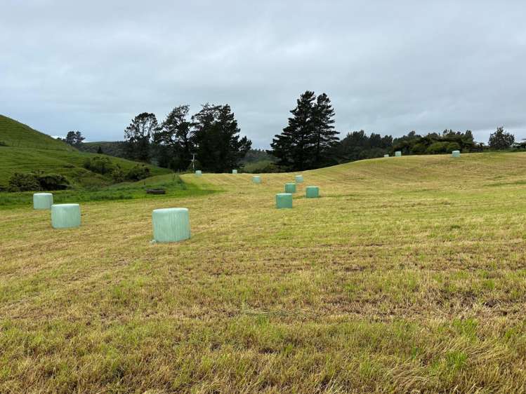 163A Ohanga Road Onaero_1