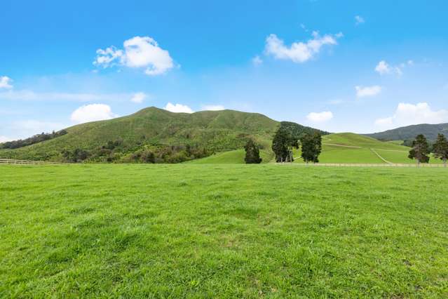 Lot 2 Hill Road Te Aroha_4