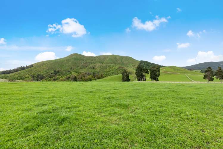 Lot 2 Hill Road Te Aroha_4