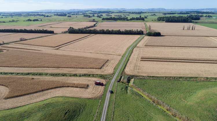 420a Kahutara Road Kahutara_13