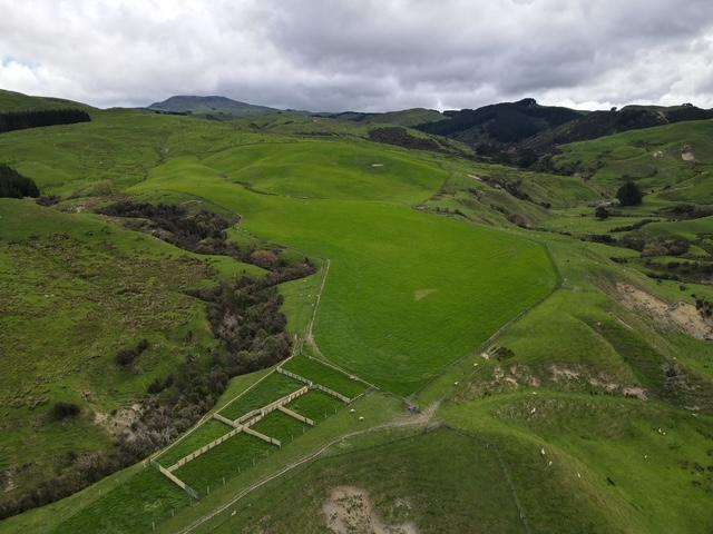 2256 Weber Road Dannevirke_4