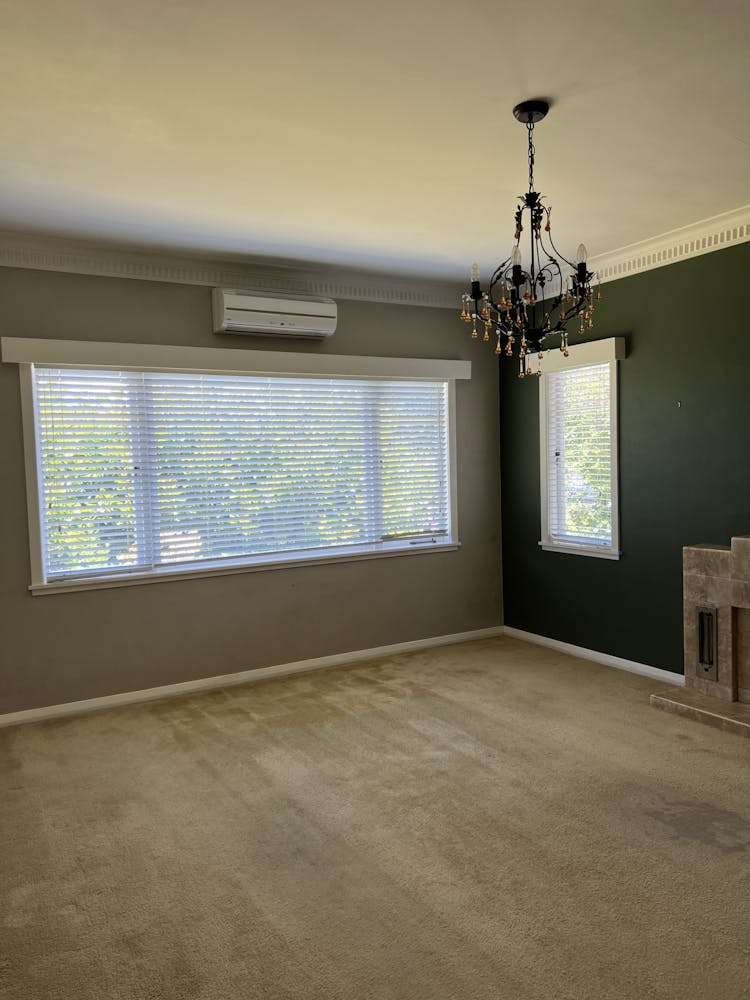 1 Logan Avenue Marewa_9