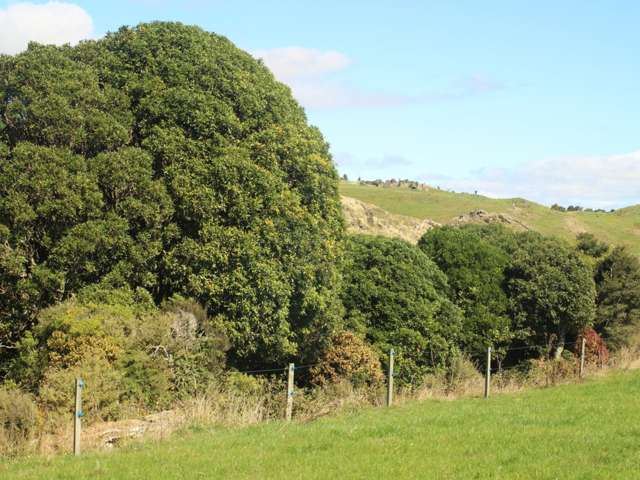 Matapuna Road, Ruapehu Alpine Estate Ohakune_4