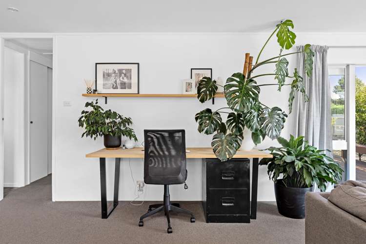 3 Anglesea Street Renwick_10