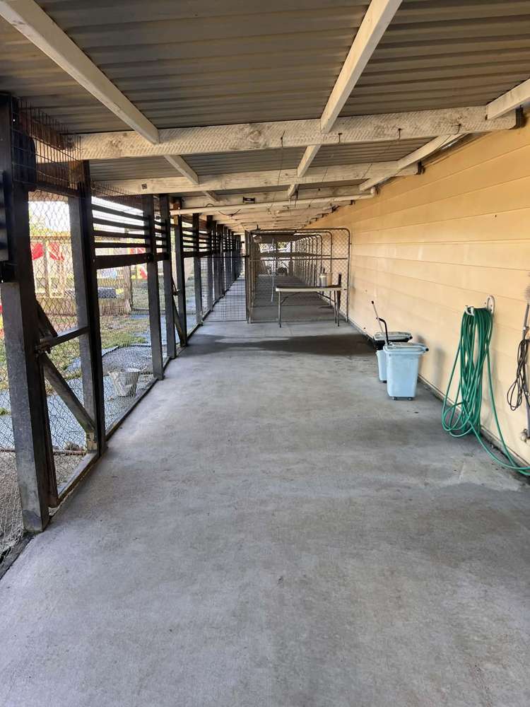 128 Mako Mako Road Levin_18